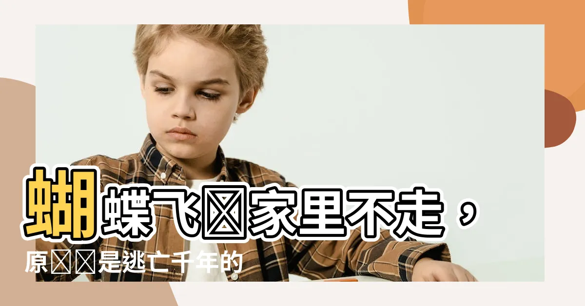 【蝴蝶飛進家裏不走】蝴蝶飛進家裏不走，原來這是逃亡千年的神秘跡象？！