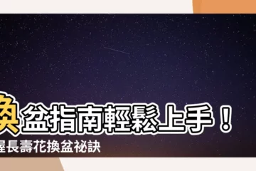 【長壽花換盆】換盆指南輕鬆上手！掌握長壽花換盆秘訣，花開燦爛不停歇