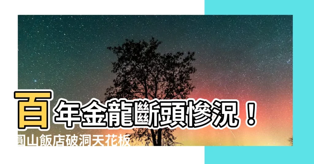 【百年金龍斷頭】百年金龍斷頭慘況！圓山飯店破洞天花板畫面曝光
