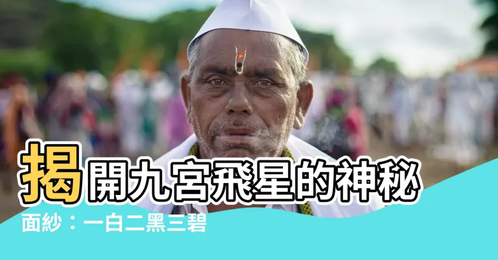 【一白二黑 三碧 四綠】揭開九宮飛星的神秘面紗：一白二黑三碧四綠，十二生肖藏其中