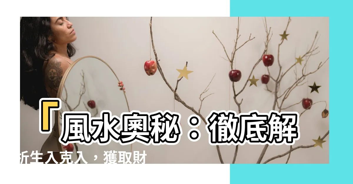 【生入】「風水奧秘：徹底解析生入克入，獲取財運大解脱！」