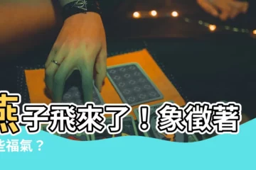【燕子 寓意】燕子飛來了！象徵著哪些福氣？