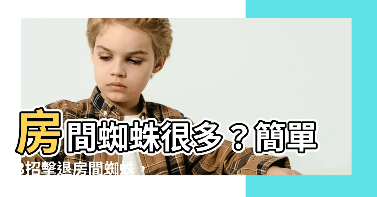 【房間蜘蛛很多】房間蜘蛛很多？簡單3招擊退房間蜘蛛，讓你家不再是蜘蛛窩！