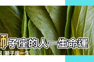 【獅子座一生命運如何】獅子座的人一生命運如何 |獅子座一生命運如何 |獅子座一生命運淺析 |