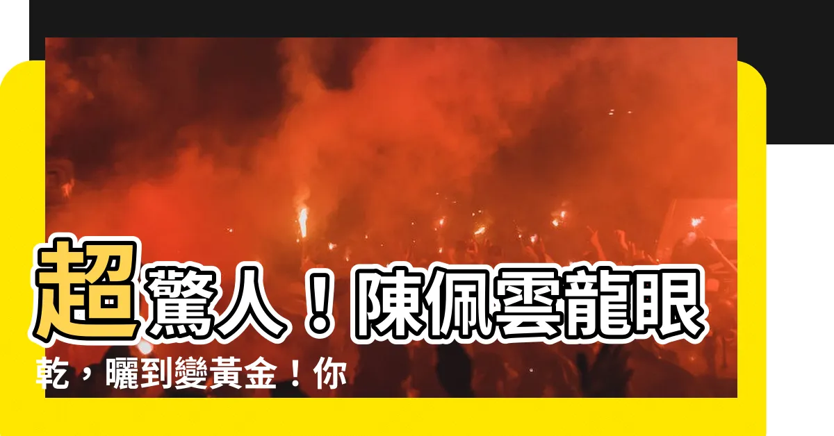 【陳佩雲龍眼乾】超驚人！陳佩雲龍眼乾，曬到變黃金！你想不到的秘密曝光！