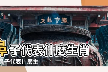 【鼻子代表什麼生肖】鼻子代表什麼生肖 |大鼻子代表什麼生肖 |5種最容易賺錢的鼻子大鼻孔竟上榜 |