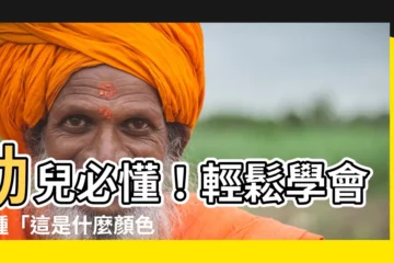【這是什麼顏色】幼兒必懂！輕鬆學會各種「這是什麼顏色？」