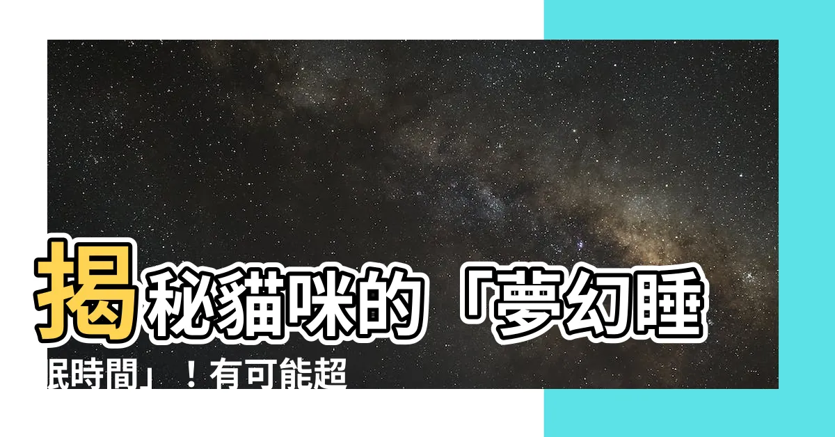 【貓睡眠時間】揭秘貓咪的「夢幻睡眠時間」！有可能超過20小時嗎？