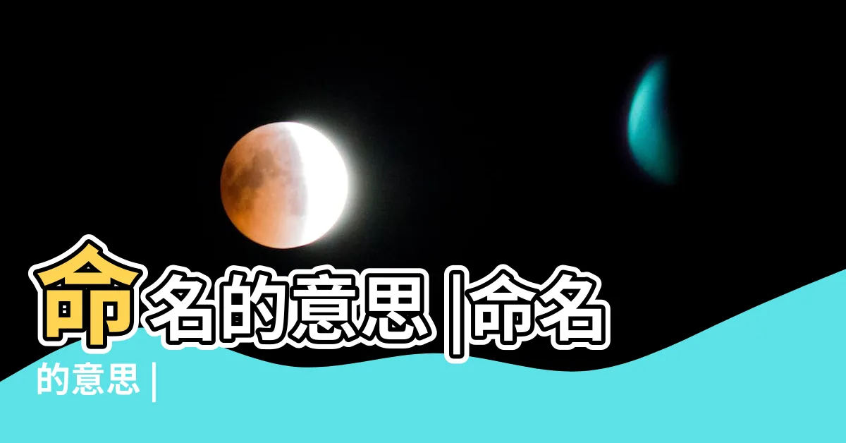 【命名的意思】命名的意思 |命名的意思 |