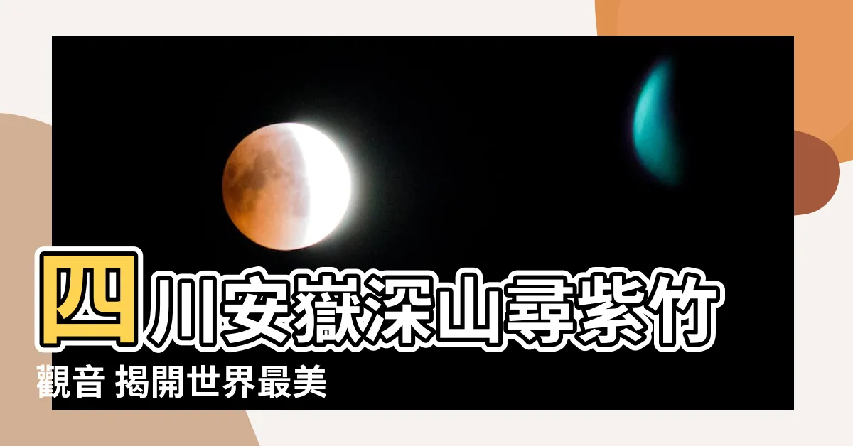 【紫竹觀音】四川安嶽深山尋紫竹觀音 揭開世界最美神佛面紗