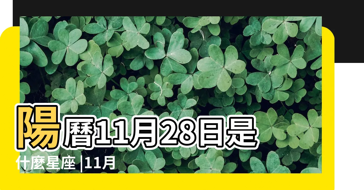 【28/11 星座】陽曆11月28日是什麼星座 |11月28日人的性格 |