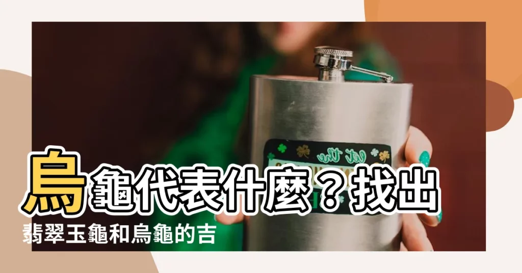 【烏龜代表】烏龜代表什麼？找出翡翠玉龜和烏龜的吉祥寓意