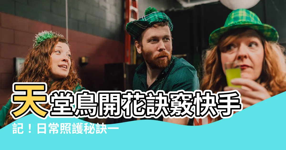 【天堂鳥 開花】天堂鳥開花訣竅快手記！日常照護秘訣一次收藏