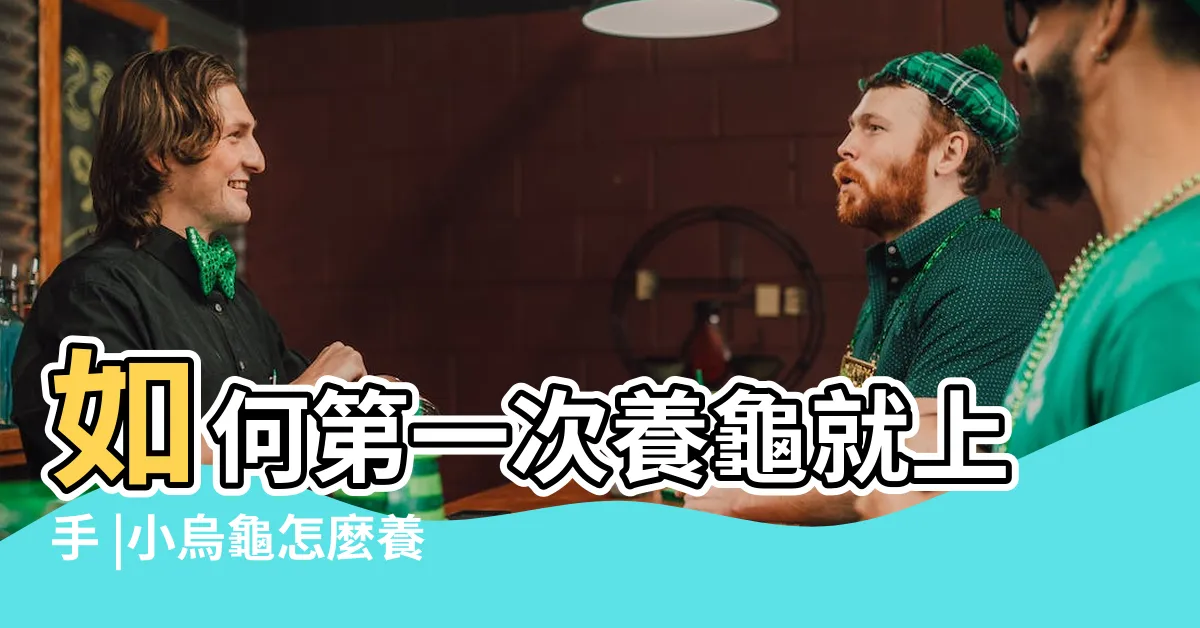 【養小烏龜注意事項】如何第一次養龜就上手 |小烏龜怎麼養 |烏龜懶人包 |