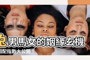 【兔男馬女】兔男馬女的姻緣玄機，相配指數大公開！