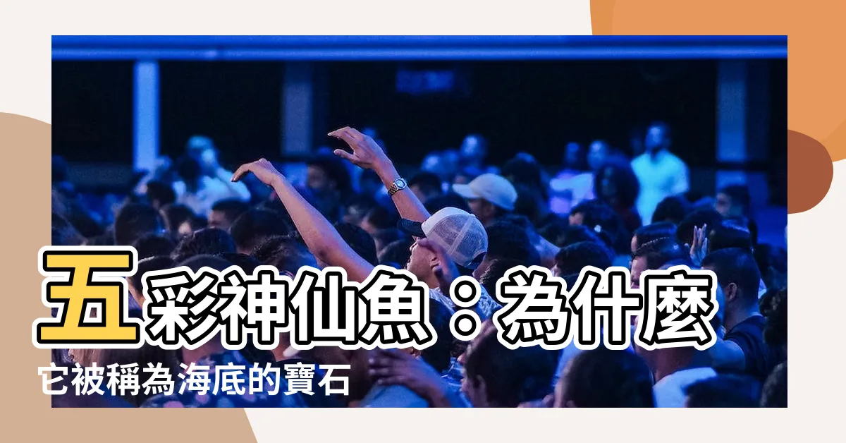 【五彩神仙魚】五彩神仙魚：為什麼它被稱為海底的寶石？