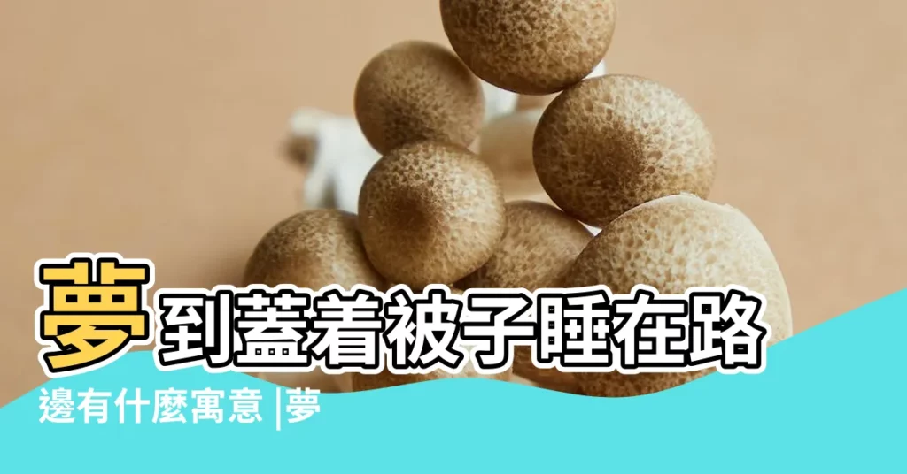 夢到蓋着被子睡在路邊有什麼寓意 |夢見已婚女人自己懷孕 |周公解夢 |【夢見和懷孕女人睡在路上】