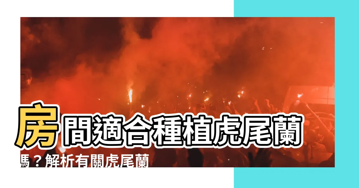 【房間可以放虎尾蘭嗎】房間適合種植虎尾蘭嗎？解析有關虎尾蘭清淨空氣的神奇效果！