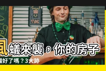 【風蟻】風蟻來襲，你的房子準備好了嗎？3大跡象及應對策略
