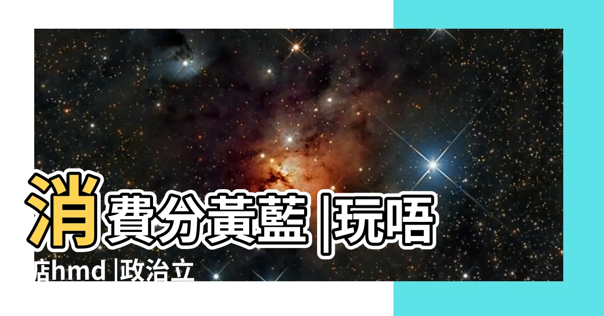 【走藍是什麼意思】消費分黃藍 |玩唔掂hmd |政治立場主導 |