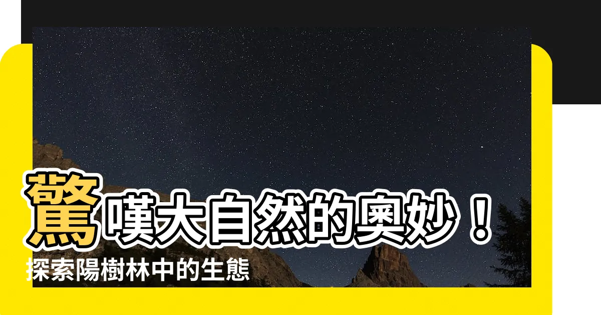 【陽樹林 例】驚嘆大自然的奧妙！探索陽樹林中的生態之謎