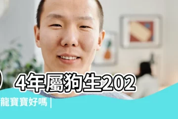 【屬龍適合生狗寶寶嗎】94年屬狗生2024年龍寶寶好嗎 |屬狗生龍寶寶好不好2024 |屬狗人2024年適合生子嗎 |