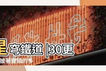 【羅剎代表】星穹鐵道 |30更新 |披著豐饒的多功能命途角色 |