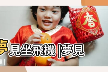 【做夢夢見做飛機】夢見坐飛機 |夢見飛機 |