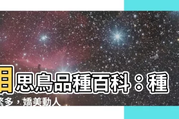 【相思鳥種類】相思鳥品種百科：種類繁多，嬌美動人