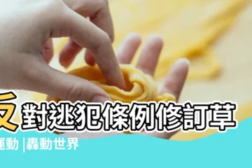 【2019年】反對逃犯條例修訂草案運動 |轟動世界的10大國際新聞 |2019年 |