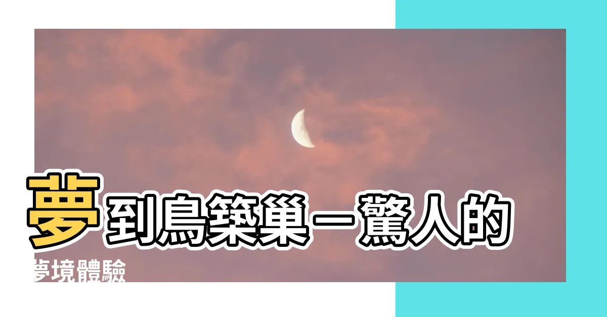 【夢到鳥築巢】夢到鳥築巢－驚人的夢境體驗