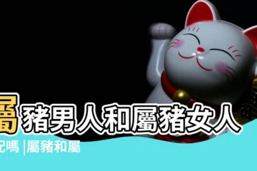 【屬豬的與屬豬的配對指數】屬豬男人和屬豬女人相配嗎 |屬豬和屬豬的相配嗎 |搜索結果 |