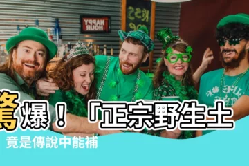 【土龍是什麼】驚爆！「正宗野生土龍」竟是傳説中能補身的神物？