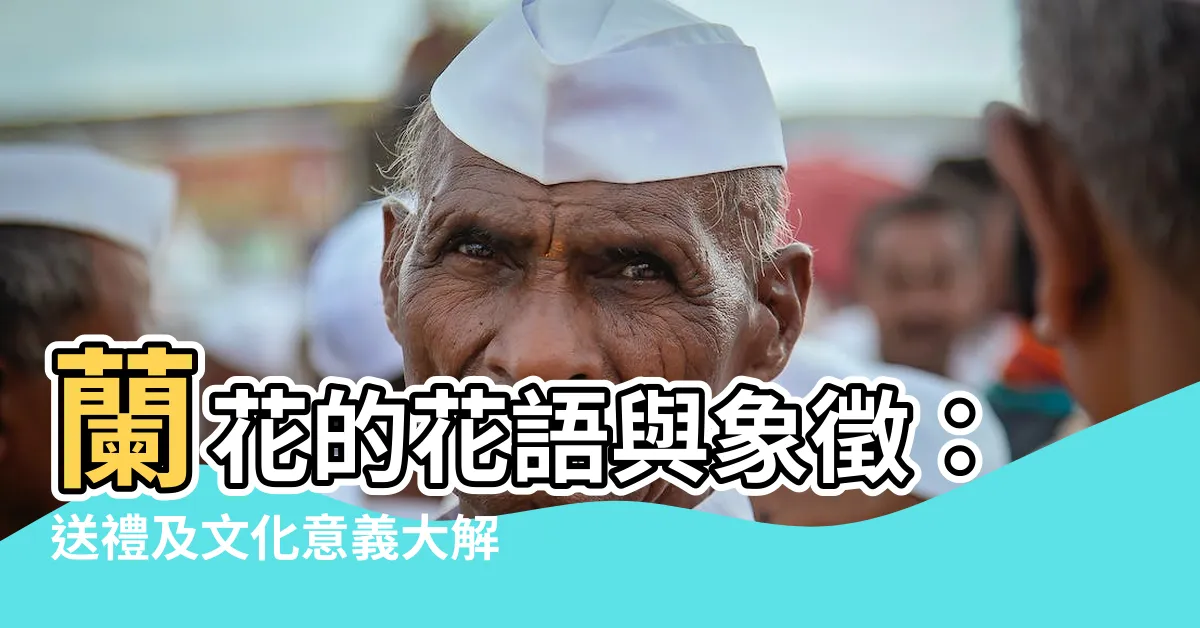 【蘭花 意思】蘭花的花語與象徵：送禮及文化意義大解析！