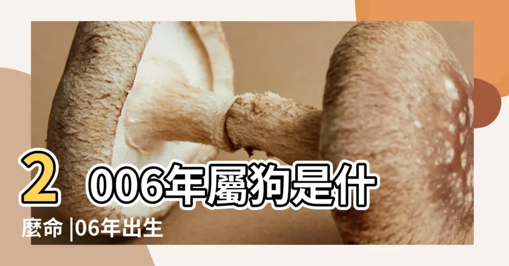 2006年屬狗是什麼命 |06年出生五行屬什麼 |2006年屬什麼生肖 |【2006年屬什麼】
