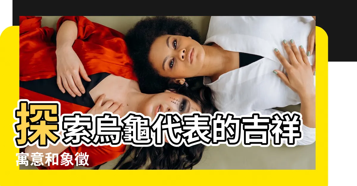 【烏龜代表】探索烏龜代表的吉祥寓意和象徵