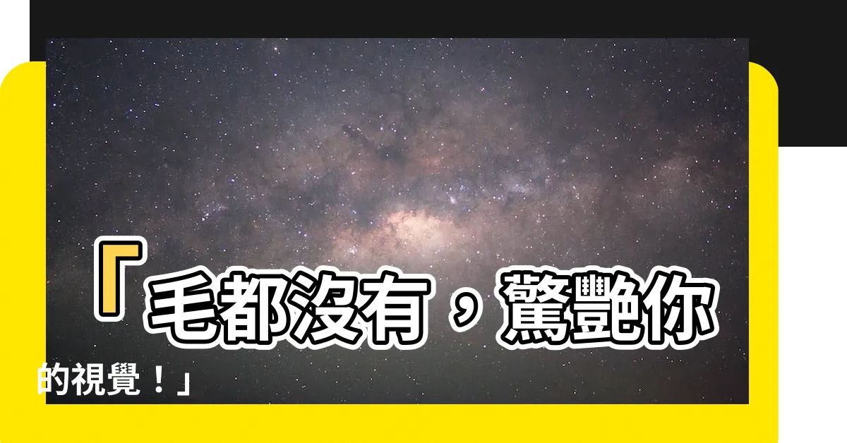 【毛都沒有】「毛都沒有，驚艷你的視覺！」
