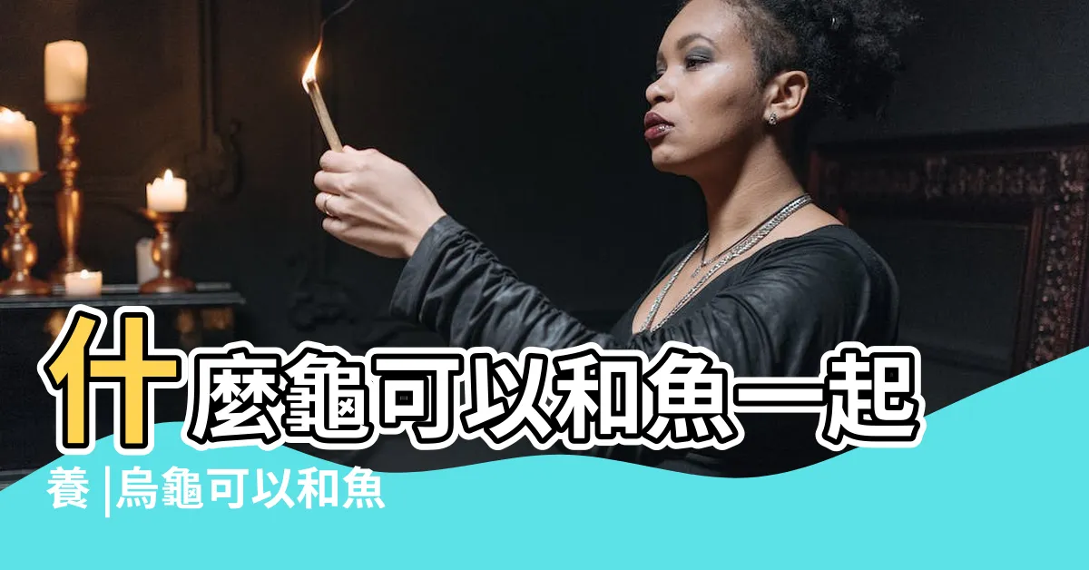 【烏龜 魚 一起養】什麼龜可以和魚一起養 |烏龜可以和魚一起養嗎 |魚龜混養的方法有哪些 |