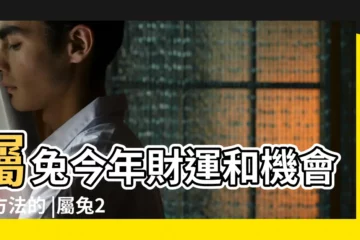 【2019屬兔今年帶什麼有運氣】屬兔今年財運和機會有方法的 |屬兔2019年運勢及運程2019年屬兔人的全年運勢 |屬兔人2019年運勢及運程詳解 |