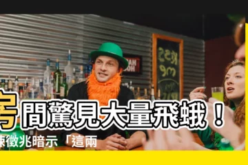【房間有飛蛾代表什麼】房間驚見大量飛蛾！驚悚徵兆暗示「這兩件事」將要發生？