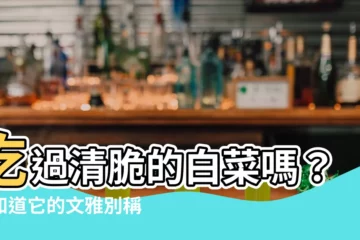 【菘 意思】吃過清脆的白菜嗎？你知道它的文雅別稱是什麼嗎？