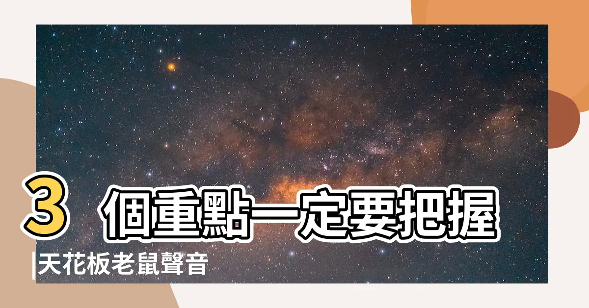 【天花板上有老鼠】3個重點一定要把握 |天花板老鼠聲音怎麼判斷 |驅趕天花板老鼠 |
