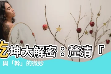 【乾意思】乾坤大解密：釐清「乾」與「幹」的微妙之義