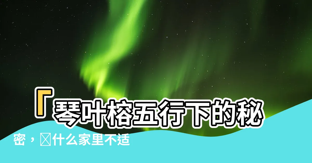【琴葉榕五行】「琴葉榕五行下的秘密，為什麼家裏不適合養琴葉榕？」