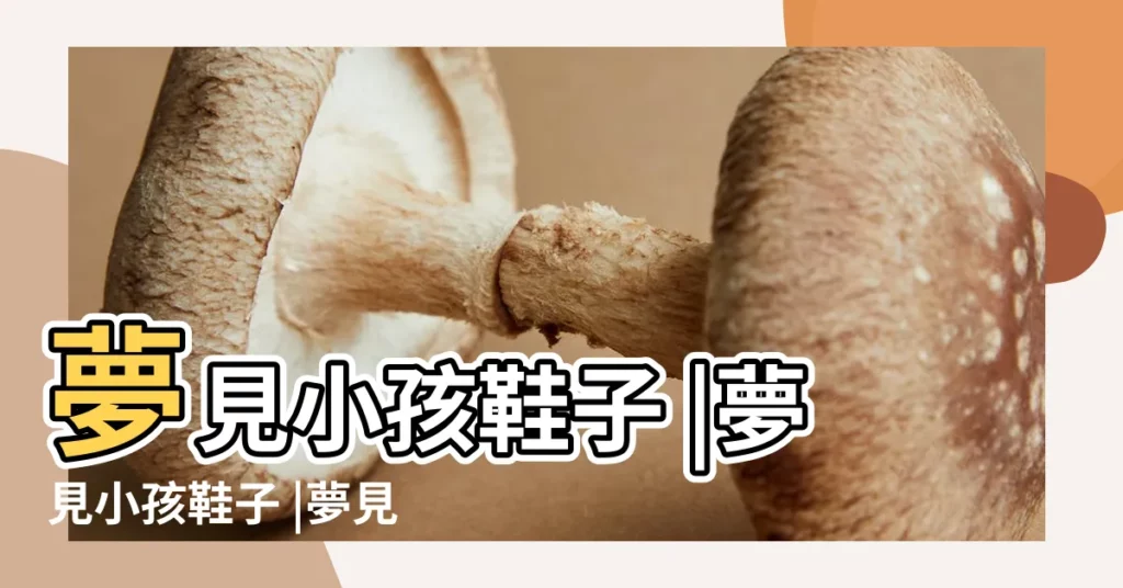 夢見小孩鞋子 |夢見小孩鞋子 |夢見小孩的鞋 |【夢到很多小孩子鞋】