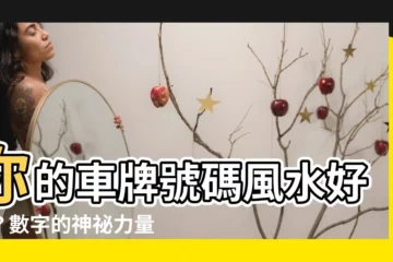 【車牌號碼風水】你的車牌號碼風水好嗎？數字的神秘力量，讓你開車更順、更安全