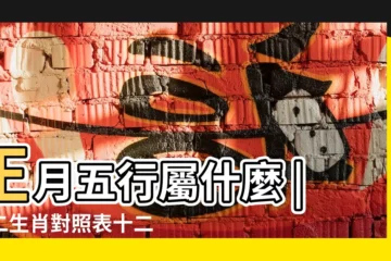 【2019正月30午時的五行屬什麼生肖】正月五行屬什麼 |十二生肖對照表十二生肖紀年對照表 |2019年屬豬的幾月出生最好 |