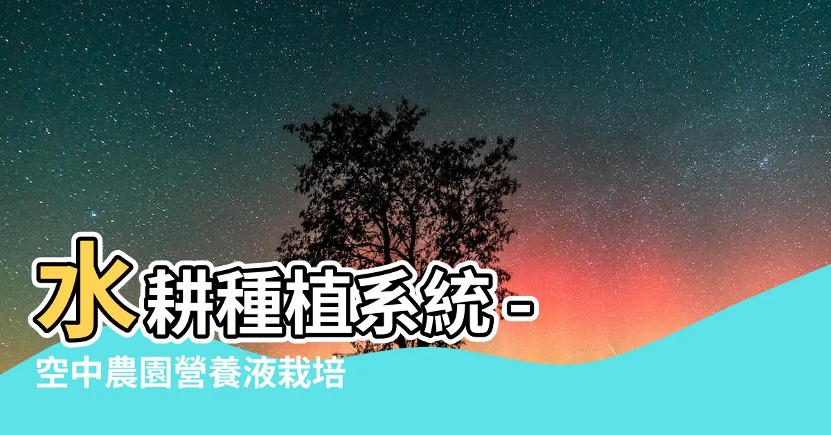 【水耕種植系統】水耕種植系統 - 空中農園營養液栽培套組及設備