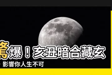 【亥醜】驚爆！亥醜暗合藏玄機，影響你人生不可不知！