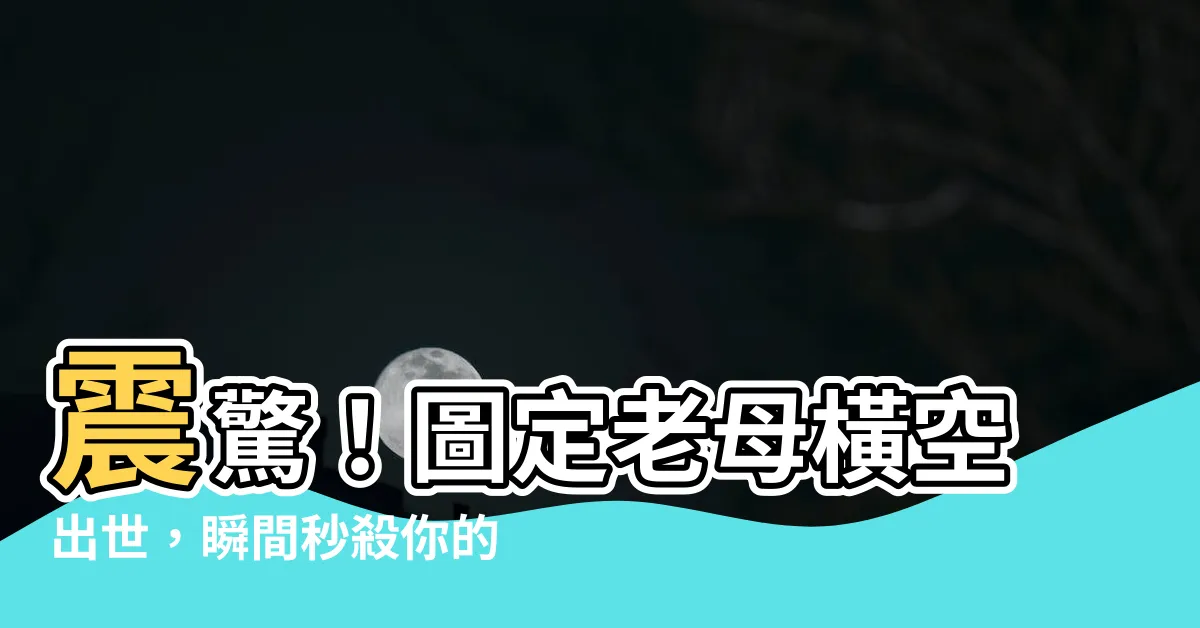 【圖定老母 意思】震驚！圖定老母橫空出世，瞬間秒殺你的笑點！